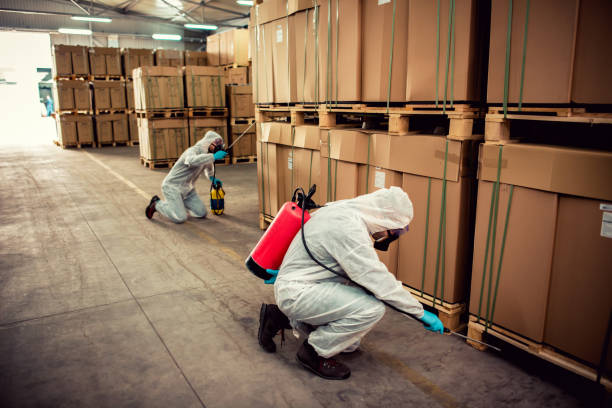 Best Exterminator Services  in Lake Ridge, VA
