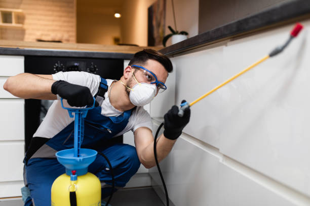 Best Pest Control Near Me in Lake Ridge, VA