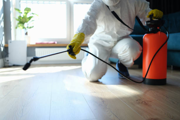 Best Flea Control Services  in Lake Ridge, VA