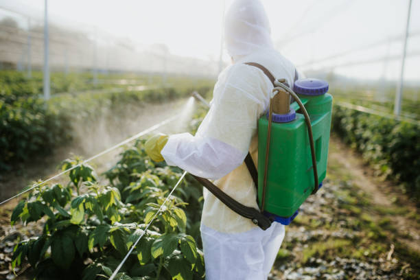 Best Cockroach Control Services  in Lake Ridge, VA